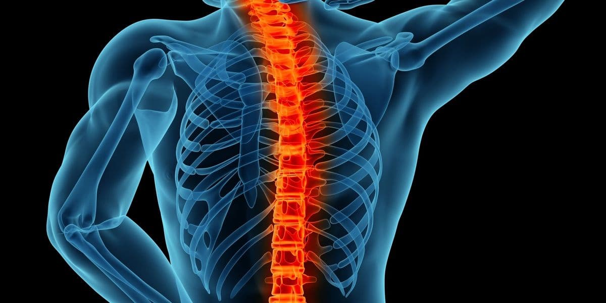 Medical illustration of the spine highlighting chronic back pain