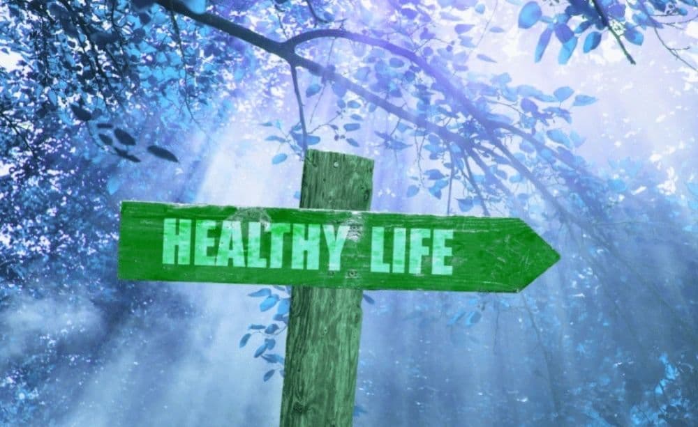 A green wooden signpost reading 'Healthy Life' among misty blue-lit branches