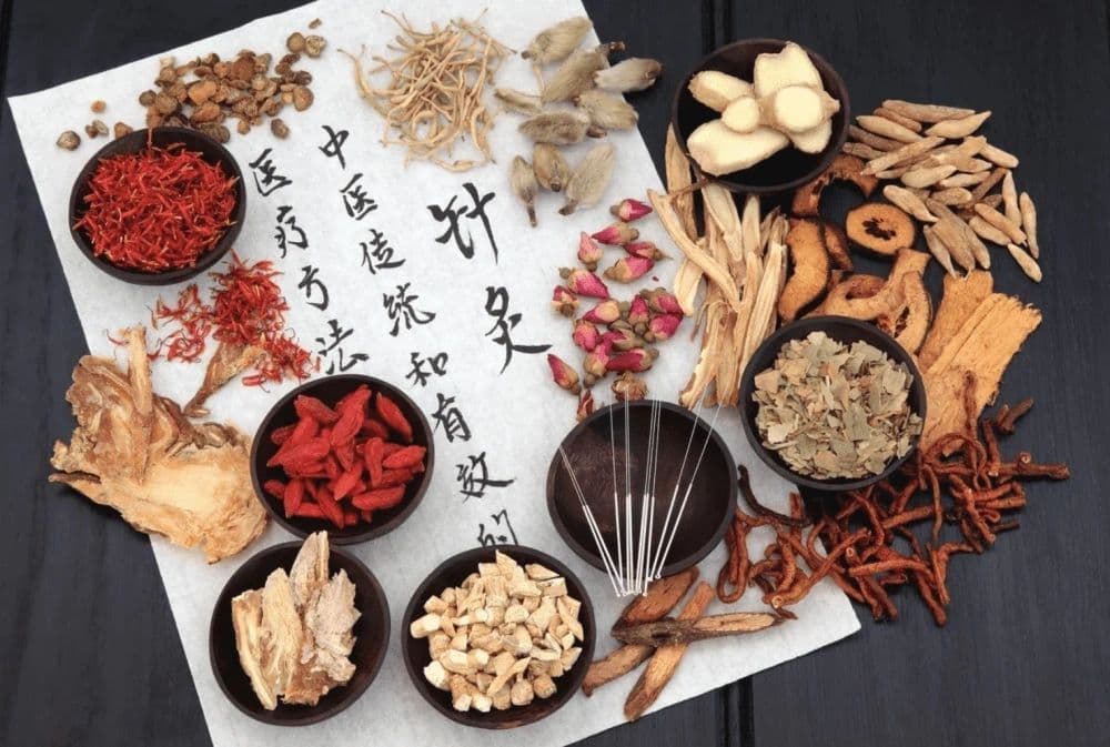 Dried Chinese herbs, goji berries, and acupuncture needles arranged on paper with brush calligraphy