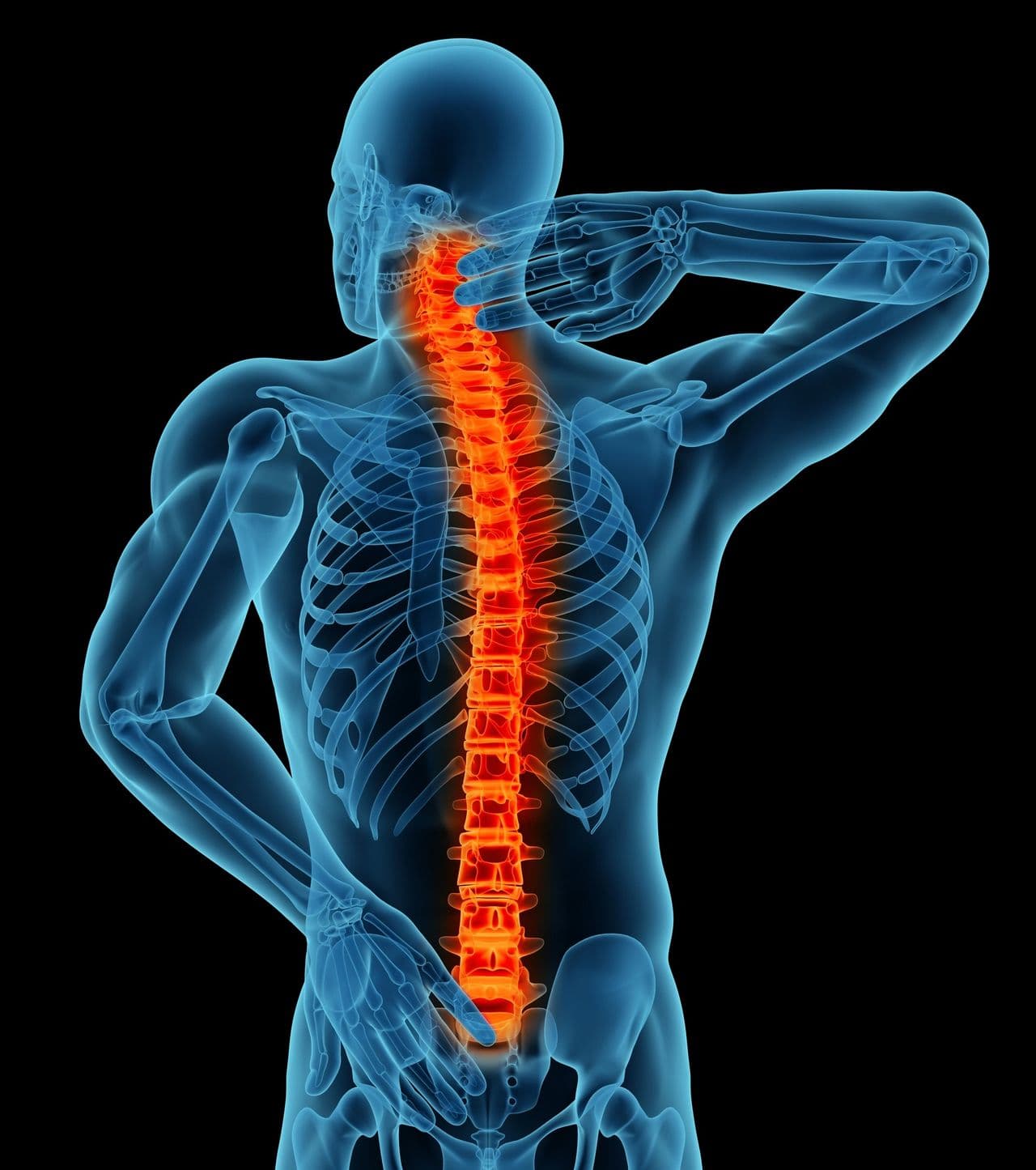 A translucent anatomical illustration of the spine, highlighted along the length of the back