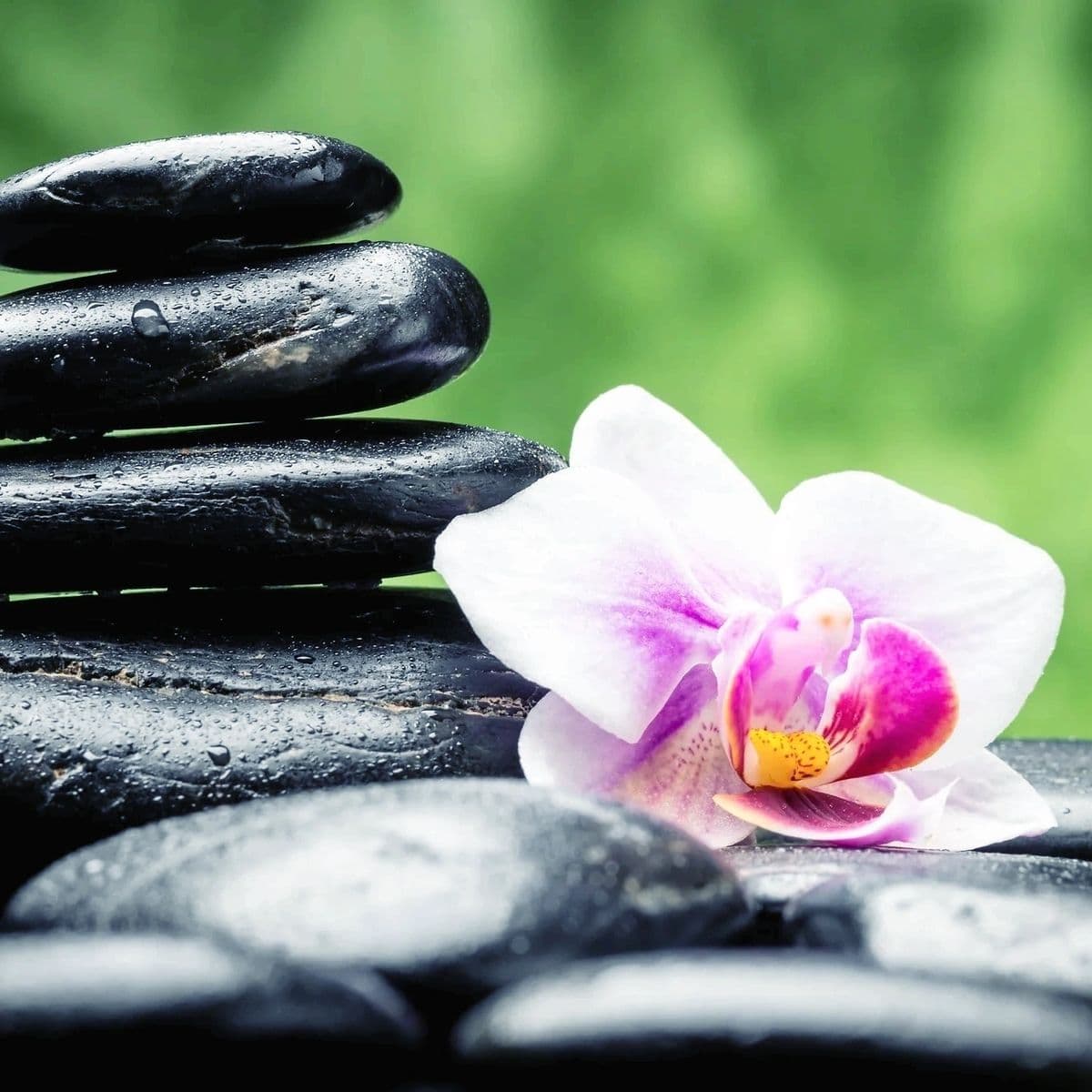Balanced stones with an orchid blossom